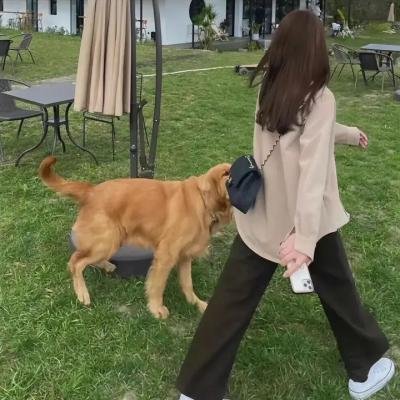 发薪日